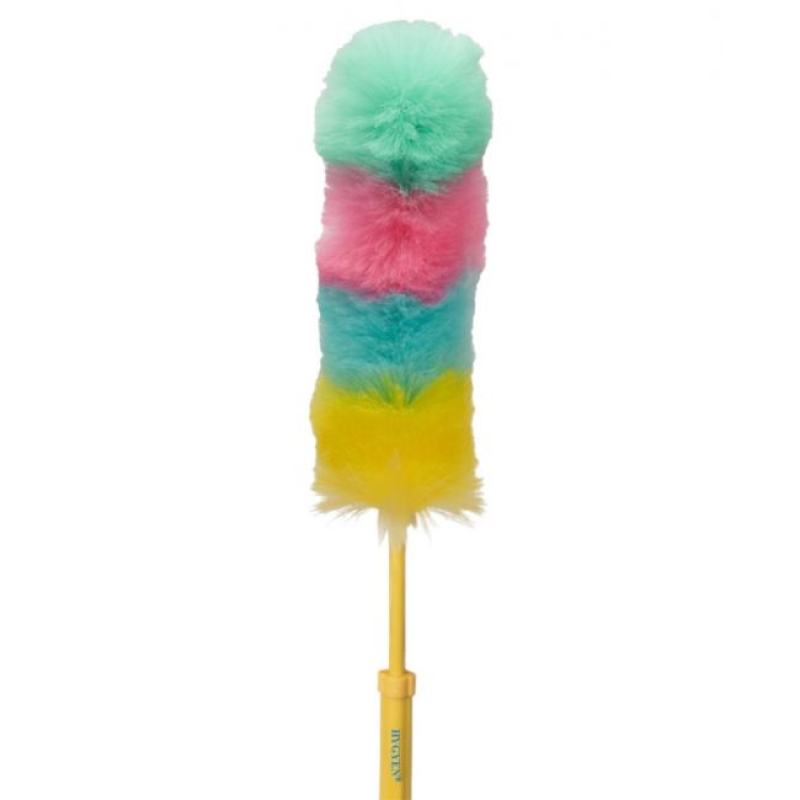 HYGYEN™ Plumeau regenboog met telesteel 114cm